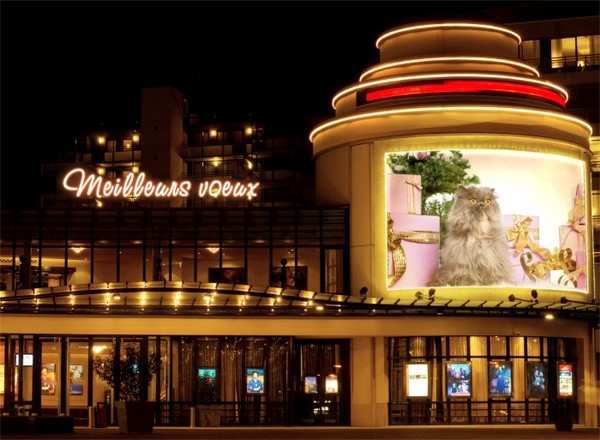 bonne journée , bonjour , bisous, amitie