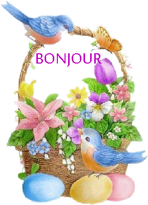 bonjour