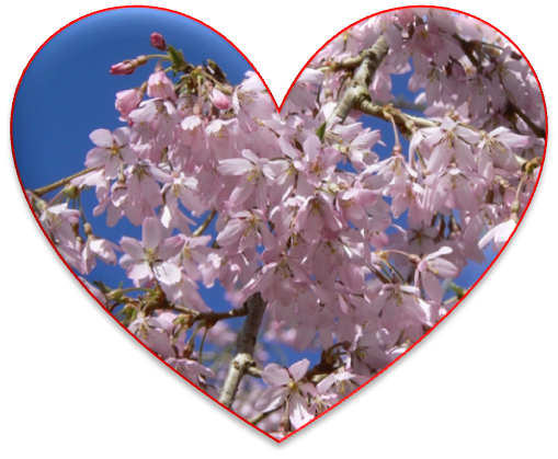coeur