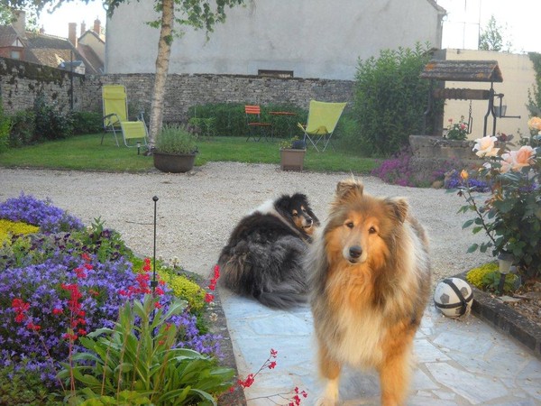 bonjour et bonne journee