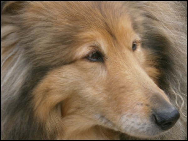 bonne journée , bonjour , bisous, amitie