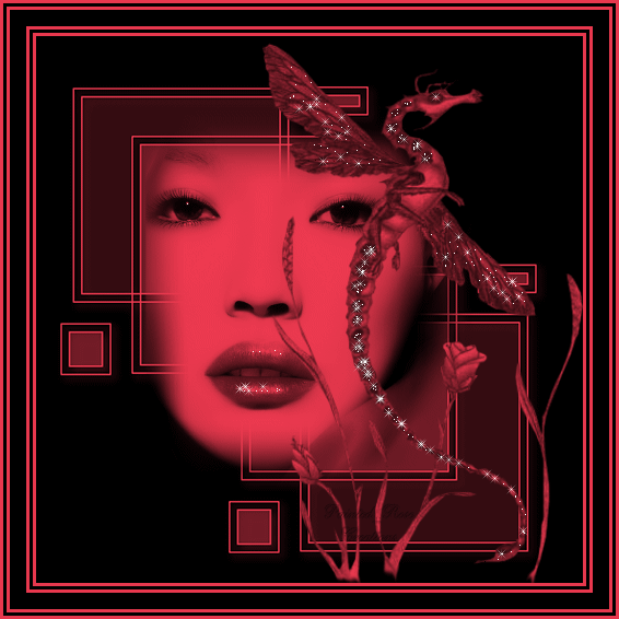 image de femme