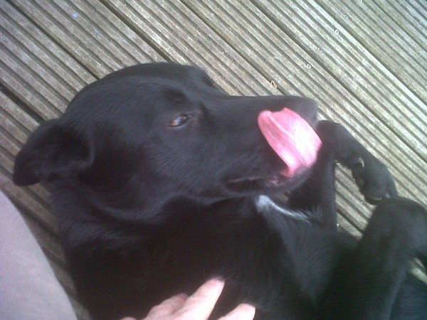 bonjour et bonne journee