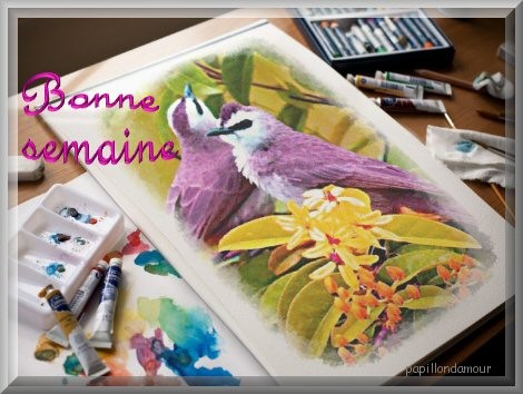 bonjour et  bonne journée 