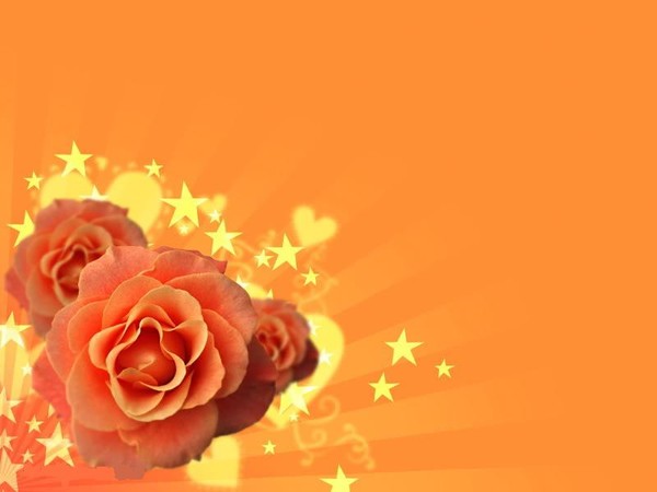 bonjour et  bonne journée 