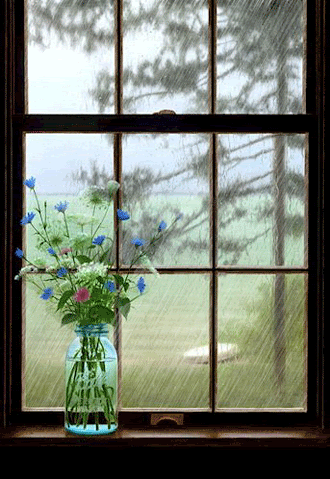 images de fenetres