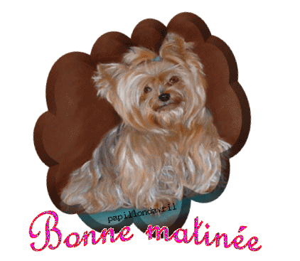 Image du Blog jonathanlepapillon.centerblog.net