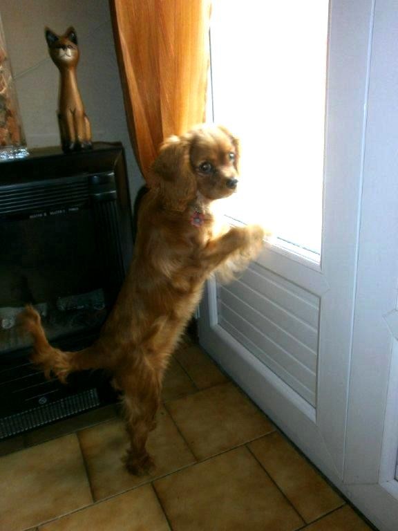 bonne journée , bonjour , bisous, amitie