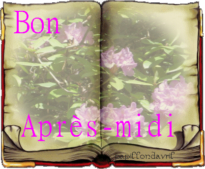 bon apres midi