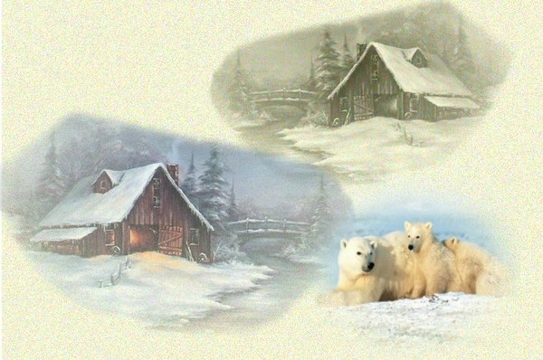 belles images d hiver