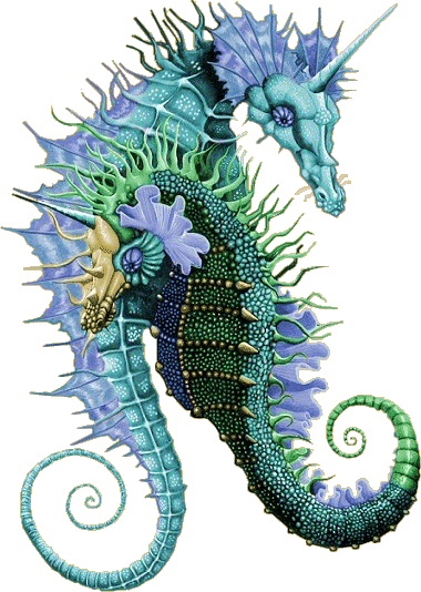 TOUCHING HEARTS: SHELLS BY THE SEA - TUBE / PNG