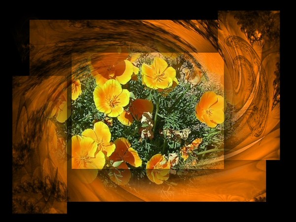 fond  d ecran pr vos créa