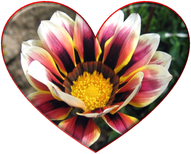 Image32.png
