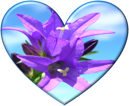 Image6_2.png