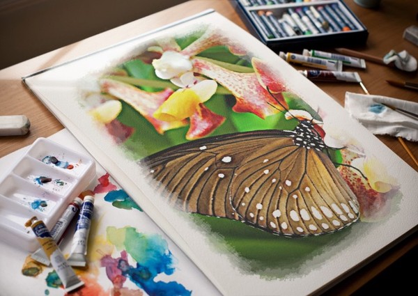 bonjour et  bonne journée 