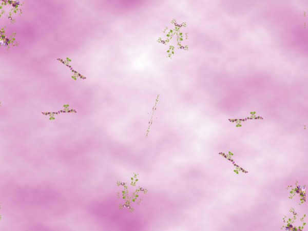 fond d ecran pour vos créa