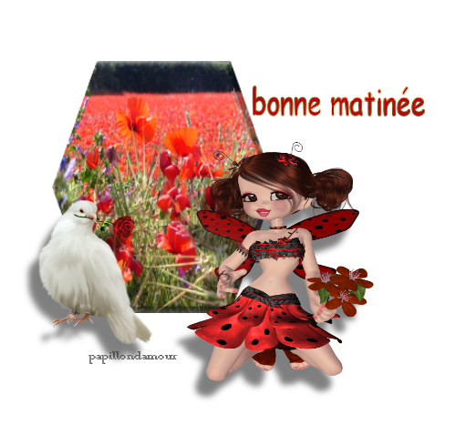 bonjour et  bonne journée 