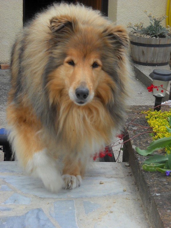 bonjour et bonne journee