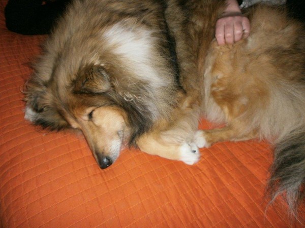 bonne journée , bonjour , bisous, amitie