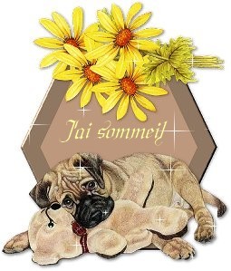gifs bonne nuit
