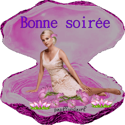 gifs bonne  soirée