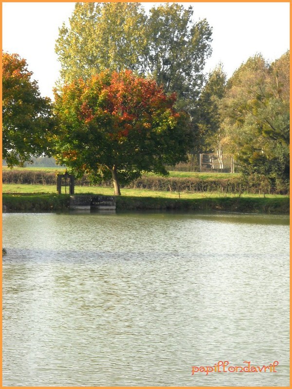 fond automne