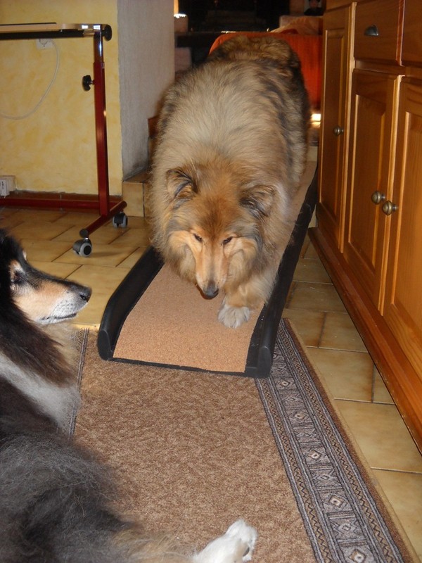 bonjour et  bonne journée 