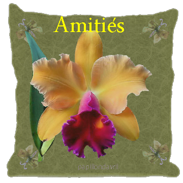 amities