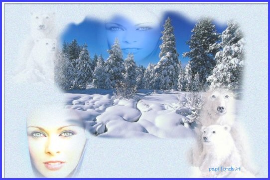belles images d hiver