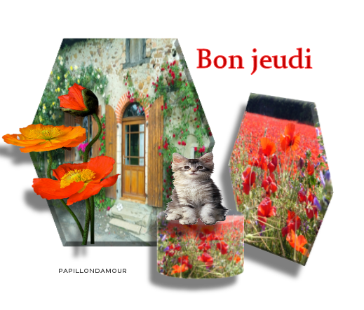 bonjour et  bonne journée 