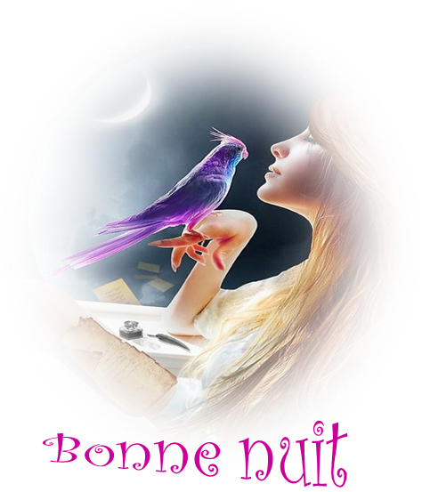 bonne nuit