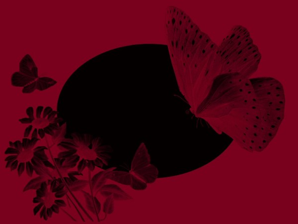 fond  d ecran pour vos crea