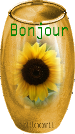 bonjour