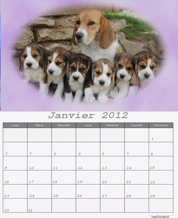 calendiers