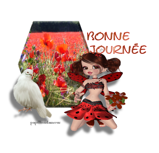 bonjour et  bonne journée 